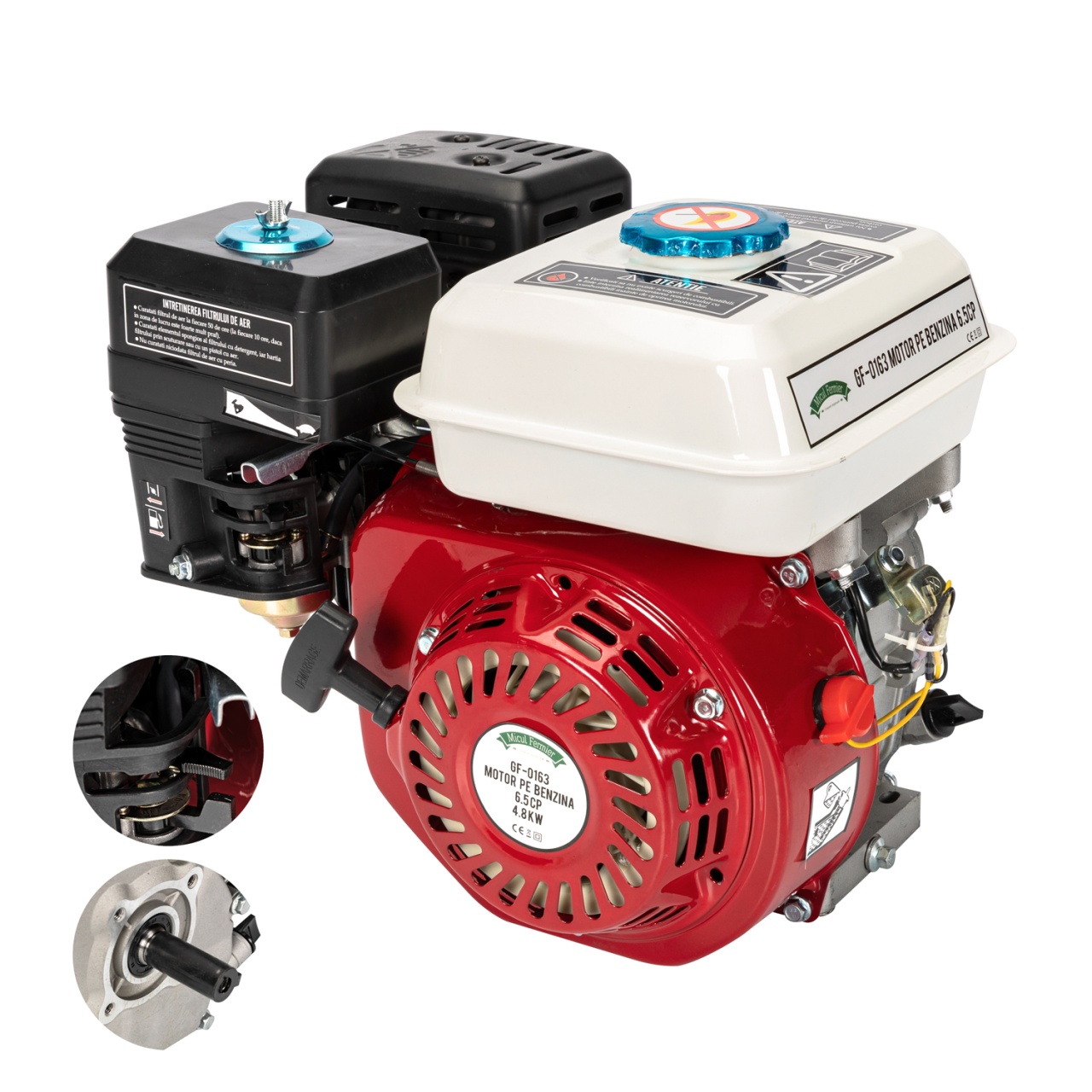 Motor pe benzina 6,5HP [7]