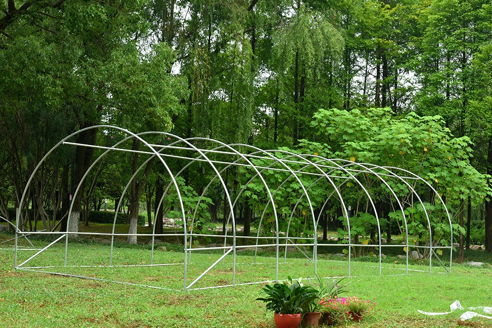 Solar/Sera Micul Fermier 8x3x2m , polietilena, densitate 140g/mp UV4 [5]