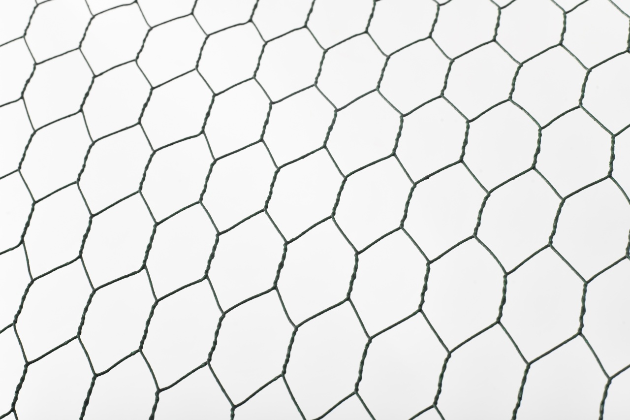 Cotet (tarc) pasari, 3x8x2m, Micul Fermier [3]