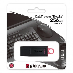 KINGSTON 256GB USB 3.2 EXODIA DTX/256GB