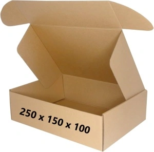 100 buc Cutie carton NATUR 250 x 150 x 100 mm