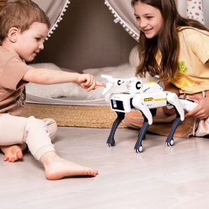 Robot Caine Inteligent iUni 8008 cu Cleste de Prindere, Control Telecomanda, Comenzi Vocale, Programabil - Img 8