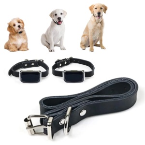 Zgarda cu GPS Tracker pentru animale iUni G12P, Ajustabila, Localizare In Timp Real, Istoric traseu, Rezistenta la apa IP67 - Img 3