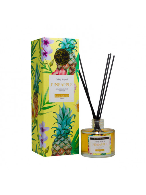 Difuzor Parfum Camera Pineapple, S&S India, 120 ml