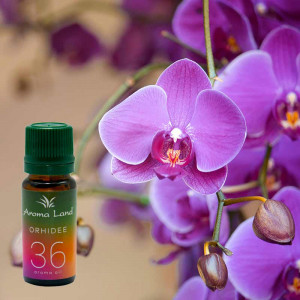 Ulei parfumat Orhidee, Aroma Land, 10 ml