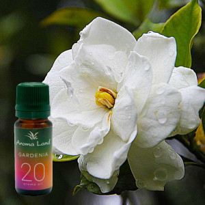 Ulei parfumat Gardenie, Aroma Land, 10 ml