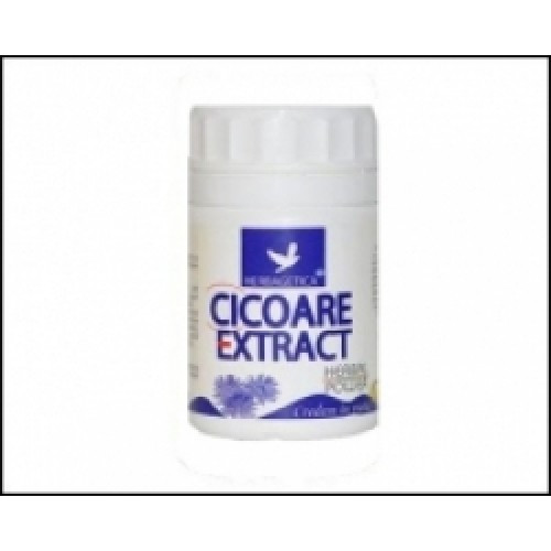Cicoare -Extract