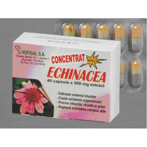 Echinacea