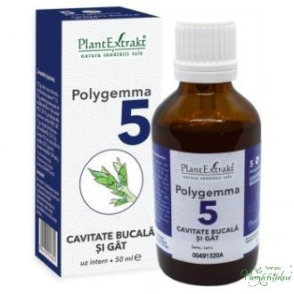 Polygemma 5