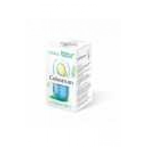 Colostrum