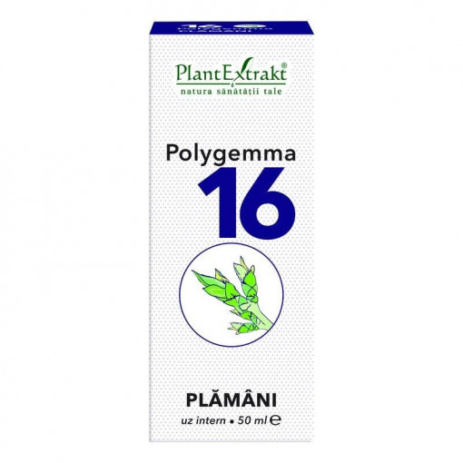 Polygemma 16