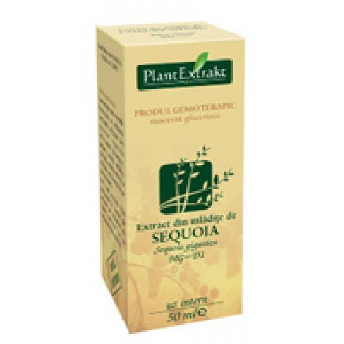 Extract din mladite de sequoia