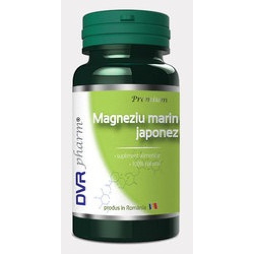 Magneziu marin japonez dvr