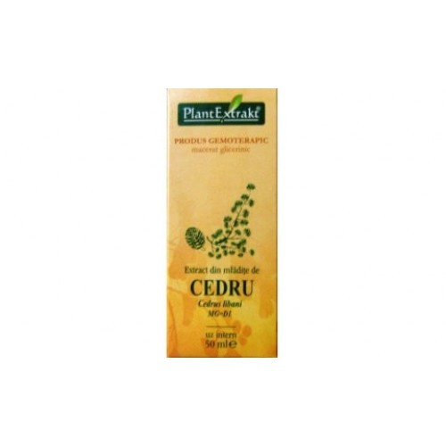 Extract din mladite de cedru