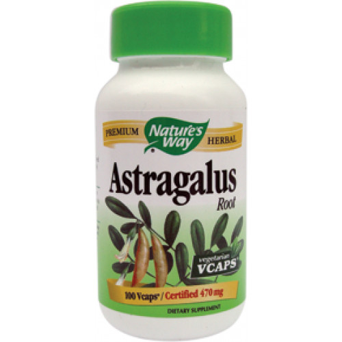 Astragalus capsule