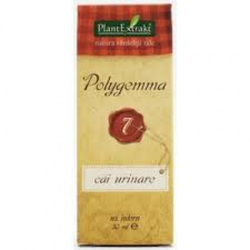 Polygemma 7