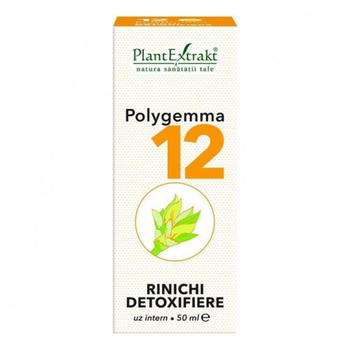 Polygemma 12