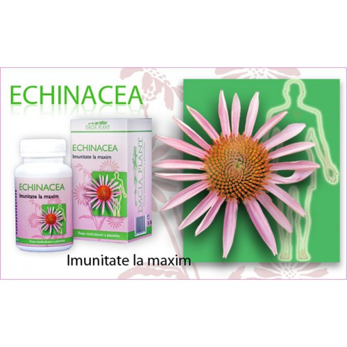 Echinacea forte