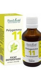 Polygemma 11