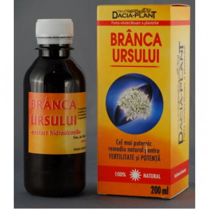 Branca ursului tinctura