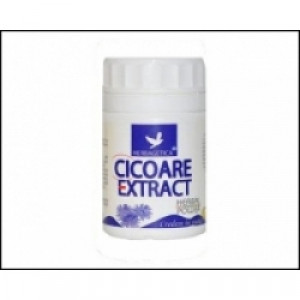 Cicoare -Extract