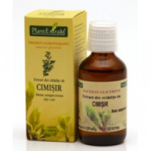 Extract din mladite de cimisir