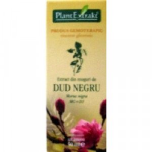 Extract din muguri de dud negru