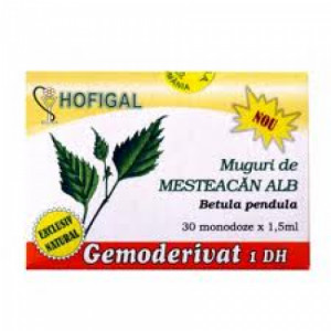 Gemoderivat muguri de mesteacan alb