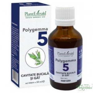 Polygemma 5