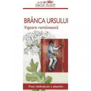 Branca Ursului
