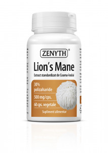 lion s mane