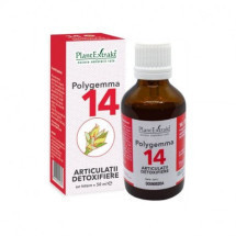 Polygemma 14
