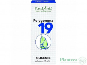 Polygemma 19