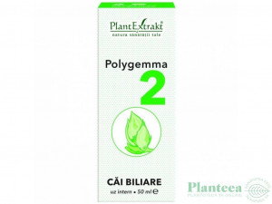 Polygemma 2