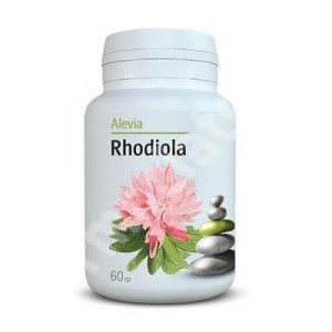 Rhodiola