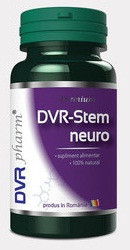 DVR Stem neuro