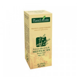 Extract din seva de mesteacan