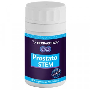 Prostato Stem