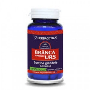 Branca Marelui Urs capsule Herbagetica