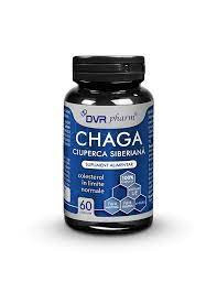 chaga capsule dvr