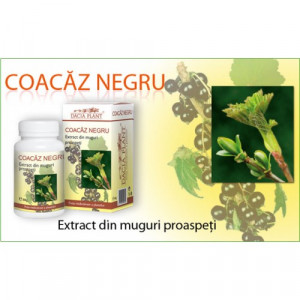 Coacaz negru