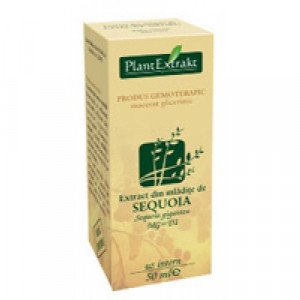 Extract din mladite de sequoia