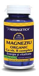 Magneziu organic
