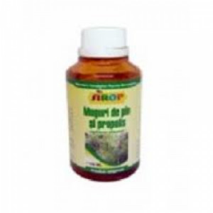 Sirop muguri de pin si propolis