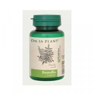 Boswellia