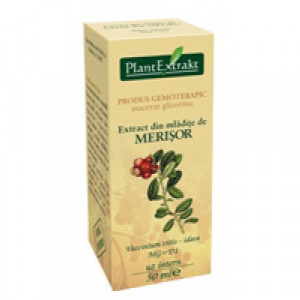 Extract din mladite de merisor