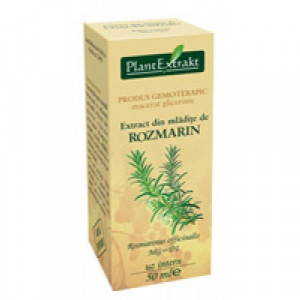 Extract din mladite de rozmarin
