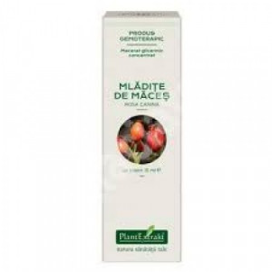 Mladite de maces