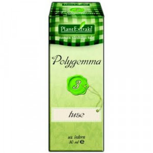 Polygemma 3