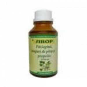 Sirop muguri de plop si propolis